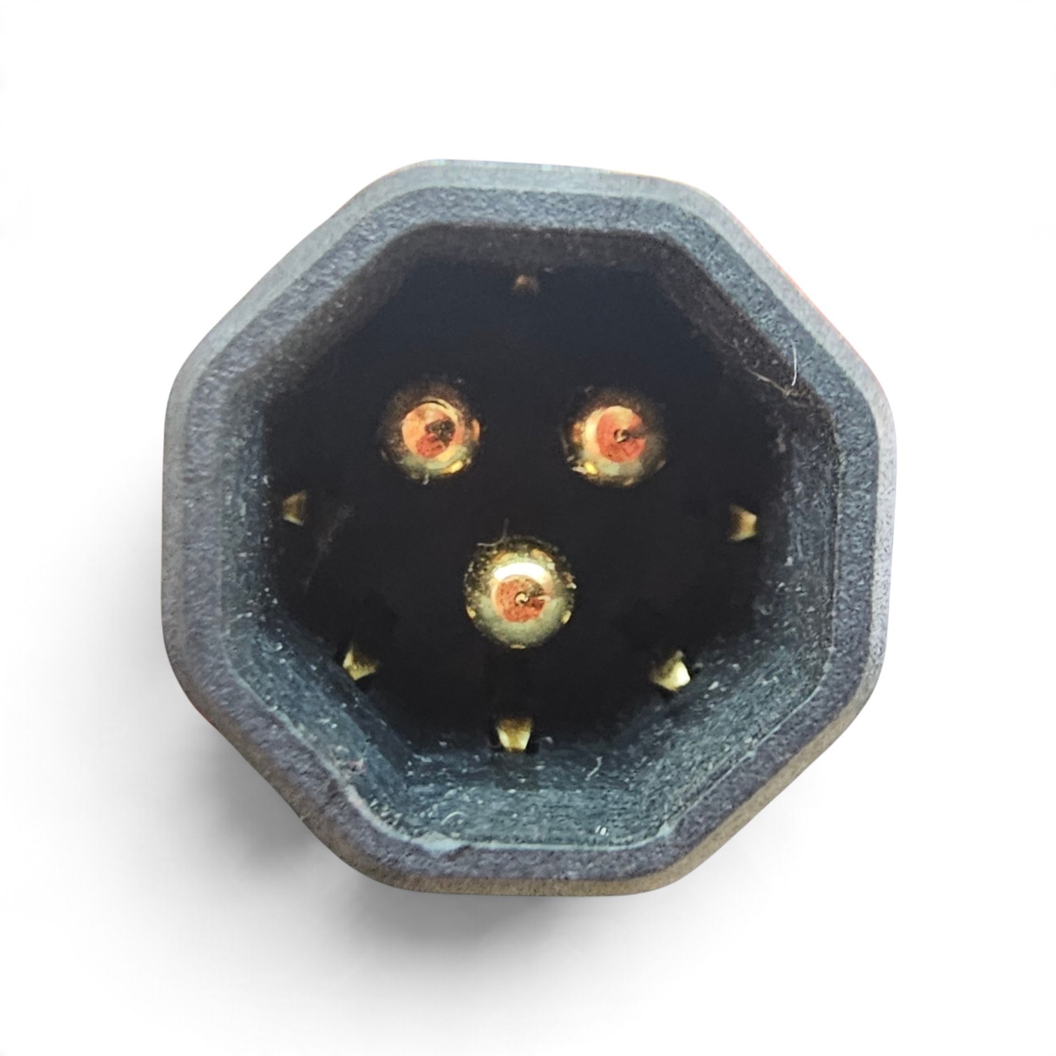 Motor Connector Cable - MALE  31  (SKU: M31)