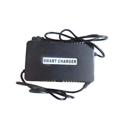 Charger 48 Volt Lead Acid Battery Reverse Polarity For Most GIO and Other Models